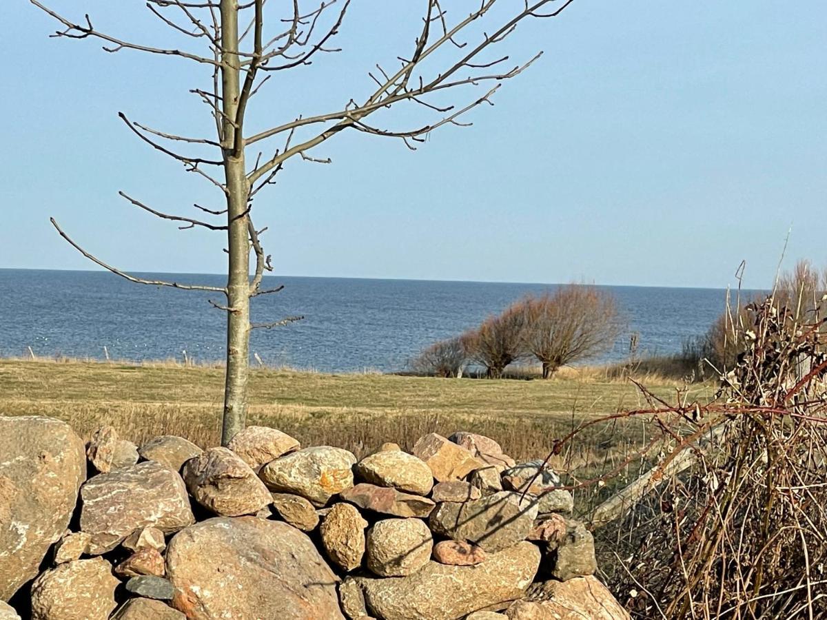 Ferienhaus Meerzeit Bastorf Buitenkant foto